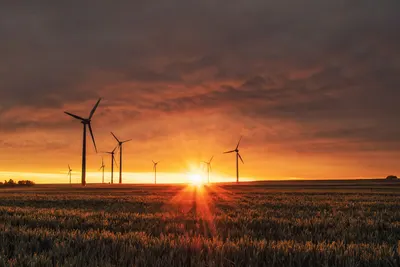 Líneas de alta tensión al atardecer